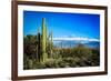 Desert Scape-CameramanHamilton-Framed Photographic Print