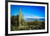 Desert Scape-CameramanHamilton-Framed Photographic Print