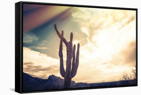 Desert Scene in Arizona as Sen Set - Saguaro Cactus Tree in Foreground-BCFC-Framed Stretched Canvas