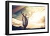 Desert Scene in Arizona as Sen Set - Saguaro Cactus Tree in Foreground-BCFC-Framed Photographic Print