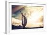 Desert Scene in Arizona as Sen Set - Saguaro Cactus Tree in Foreground-BCFC-Framed Photographic Print