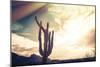 Desert Scene in Arizona as Sen Set - Saguaro Cactus Tree in Foreground-BCFC-Mounted Photographic Print