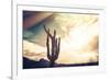 Desert Scene in Arizona as Sen Set - Saguaro Cactus Tree in Foreground-BCFC-Framed Photographic Print