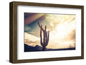 Desert Scene in Arizona as Sen Set - Saguaro Cactus Tree in Foreground-BCFC-Framed Photographic Print