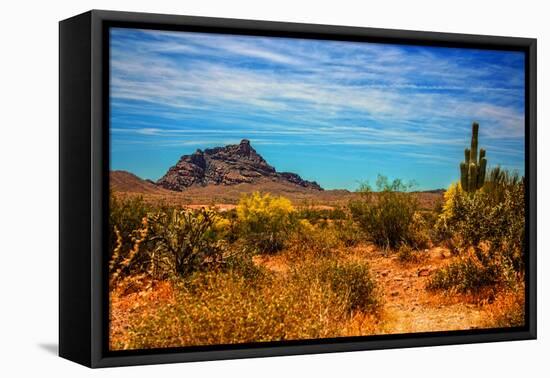 Desert Scene in Scottsdale, AZ-null-Framed Stretched Canvas