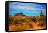 Desert Scene in Scottsdale, AZ-null-Framed Stretched Canvas
