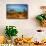 Desert Scene in Scottsdale, AZ-null-Framed Stretched Canvas displayed on a wall