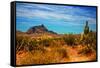 Desert Scene in Scottsdale, AZ-null-Framed Stretched Canvas