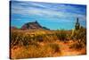 Desert Scene in Scottsdale, AZ-null-Stretched Canvas