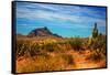 Desert Scene in Scottsdale, AZ-null-Framed Stretched Canvas