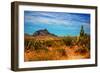 Desert Scene in Scottsdale, AZ-null-Framed Photo