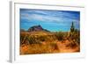 Desert Scene in Scottsdale, AZ-null-Framed Photo