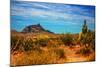 Desert Scene in Scottsdale, AZ-null-Mounted Photo