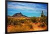 Desert Scene in Scottsdale, AZ-null-Framed Photo