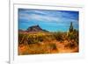 Desert Scene in Scottsdale, AZ-null-Framed Photo