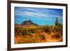 Desert Scene in Scottsdale, AZ-null-Framed Photo