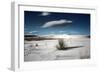 Desert Scene in USA-Jody Miller-Framed Photographic Print