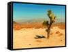 Desert Scene with Cactus Plant-Salvatore Elia-Framed Stretched Canvas
