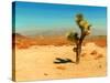 Desert Scene with Cactus Plant-Salvatore Elia-Stretched Canvas