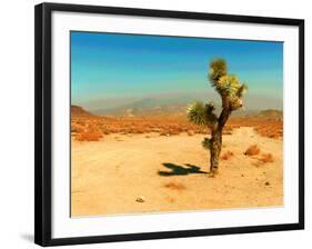 Desert Scene with Cactus Plant-Salvatore Elia-Framed Photographic Print