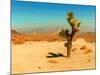 Desert Scene with Cactus Plant-Salvatore Elia-Mounted Photographic Print