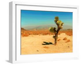 Desert Scene with Cactus Plant-Salvatore Elia-Framed Photographic Print