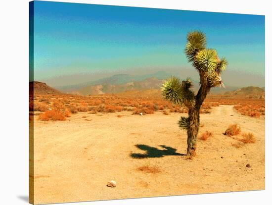 Desert Scene with Cactus Plant-Salvatore Elia-Stretched Canvas