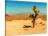 Desert Scene with Cactus Plant-Salvatore Elia-Stretched Canvas