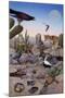 Desert Scene with Falcon and Cactus, a Fox and Other Desert Animals-Tim Knepp-Mounted Giclee Print