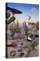 Desert Scene with Falcon and Cactus, a Fox and Other Desert Animals-Tim Knepp-Stretched Canvas