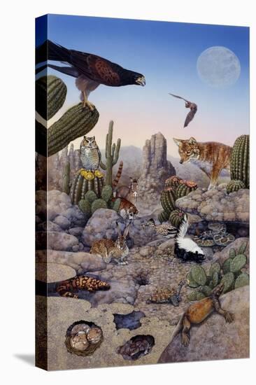 Desert Scene with Falcon and Cactus, a Fox and Other Desert Animals-Tim Knepp-Stretched Canvas