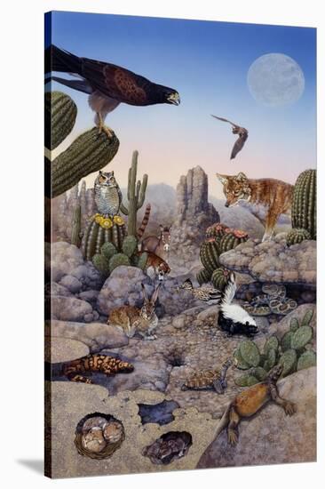 Desert Scene with Falcon and Cactus, a Fox and Other Desert Animals-Tim Knepp-Stretched Canvas