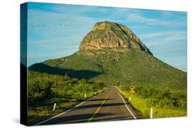 Desert scenery, Baja California Sur, Mexico-Mark A Johnson-Stretched Canvas