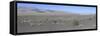 Desert Scrub Land Panorama, Death Valley, California, USA-Mark Taylor-Framed Stretched Canvas