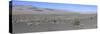 Desert Scrub Land Panorama, Death Valley, California, USA-Mark Taylor-Stretched Canvas