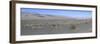 Desert Scrub Land Panorama, Death Valley, California, USA-Mark Taylor-Framed Photographic Print