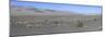 Desert Scrub Land Panorama, Death Valley, California, USA-Mark Taylor-Mounted Photographic Print