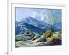 Desert Serenade-Carolyne Hawley-Framed Art Print