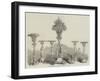 Desert Service of Plate Presented to the Mayor of Bristol-null-Framed Giclee Print