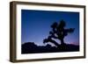 Desert Silence-Dan Ballard-Framed Photographic Print