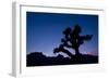 Desert Silence-Dan Ballard-Framed Photographic Print