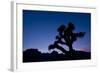 Desert Silence-Dan Ballard-Framed Photographic Print