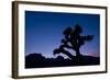 Desert Silence-Dan Ballard-Framed Photographic Print