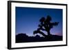 Desert Silence-Dan Ballard-Framed Photographic Print