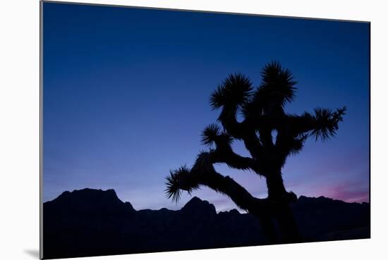 Desert Silence-Dan Ballard-Mounted Photographic Print