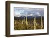 Desert Snow-Tim Roberts Photography-Framed Photographic Print