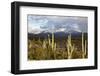 Desert Snow-Tim Roberts Photography-Framed Photographic Print