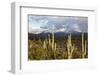 Desert Snow-Tim Roberts Photography-Framed Photographic Print