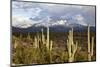 Desert Snow-Tim Roberts Photography-Mounted Photographic Print