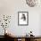 Desert Spirit (Przewalski), 2013-Mark Adlington-Framed Giclee Print displayed on a wall